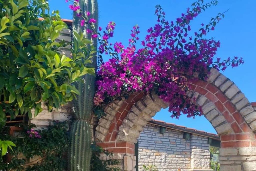 Bisceglie Apartment | Bouganvillea Pool & Sea