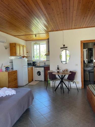 Forio Apartment | casa l'olivo