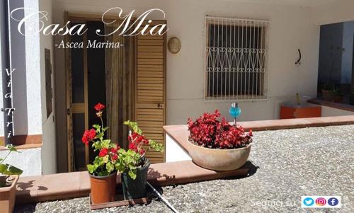 Marina di Ascea Apartment | Casa mia - Marina di Ascea -