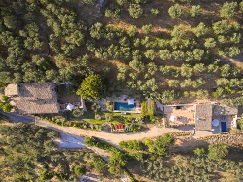 Campello sul Clitunno Villa | Casa Olivi