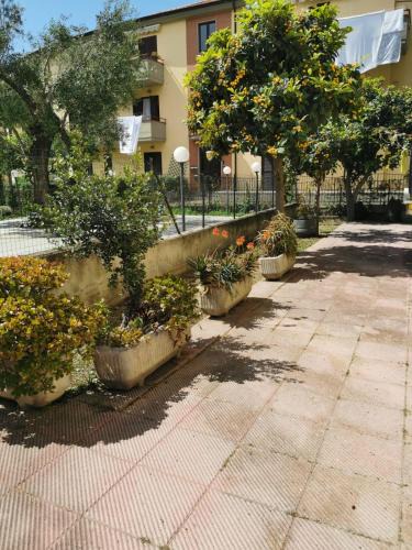 Marina di Ascea Apartment | Casa Vacanza AScea 2
