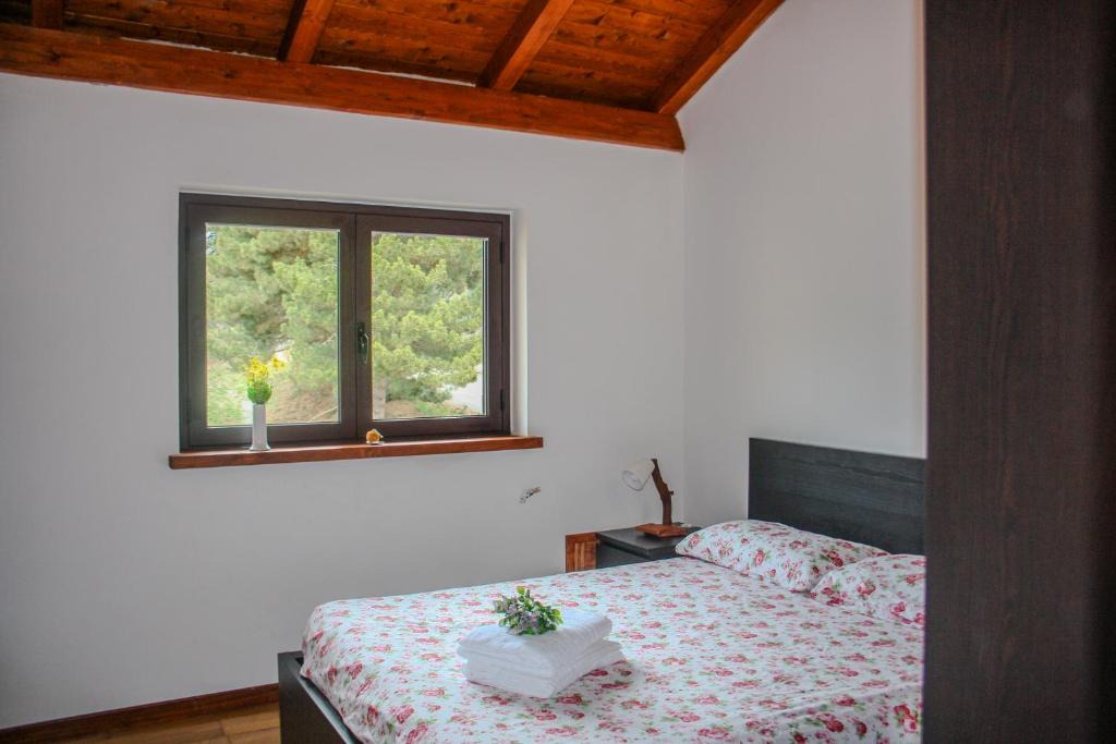Pedace House | Casa Vacanze Abete Bianco - Lorica