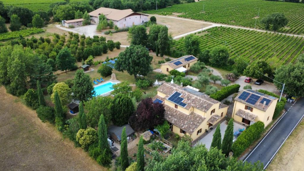 Pietrauta House | Casa Vacanze "Dimora Quercia" - Appartamento "Oliva"