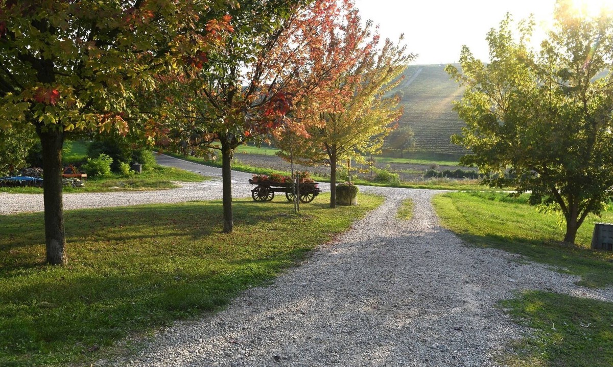 Castiglione Tinella House | Corner of Paradise among the vineyards