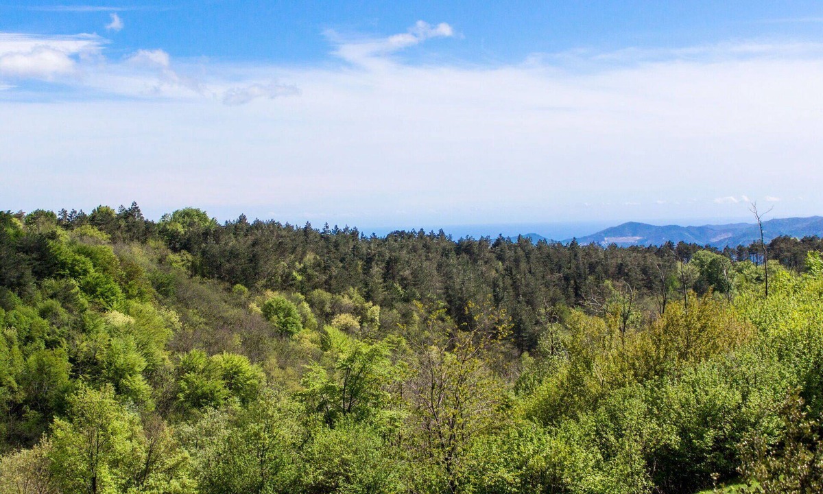 Savona Apartment | Cosy apartment for 5 people with WIFI, TV, patio, pets allowed and panoramic view