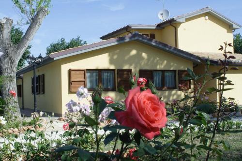 Bettolelle Hotel | Country House La Madonnina