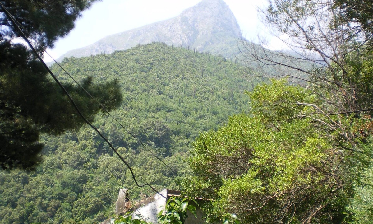 Vietri sul Mare Apartment | Cozy apartment in the greenery of the Amalfi Coast