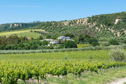Strongoli House | Dattilo Wine Relais