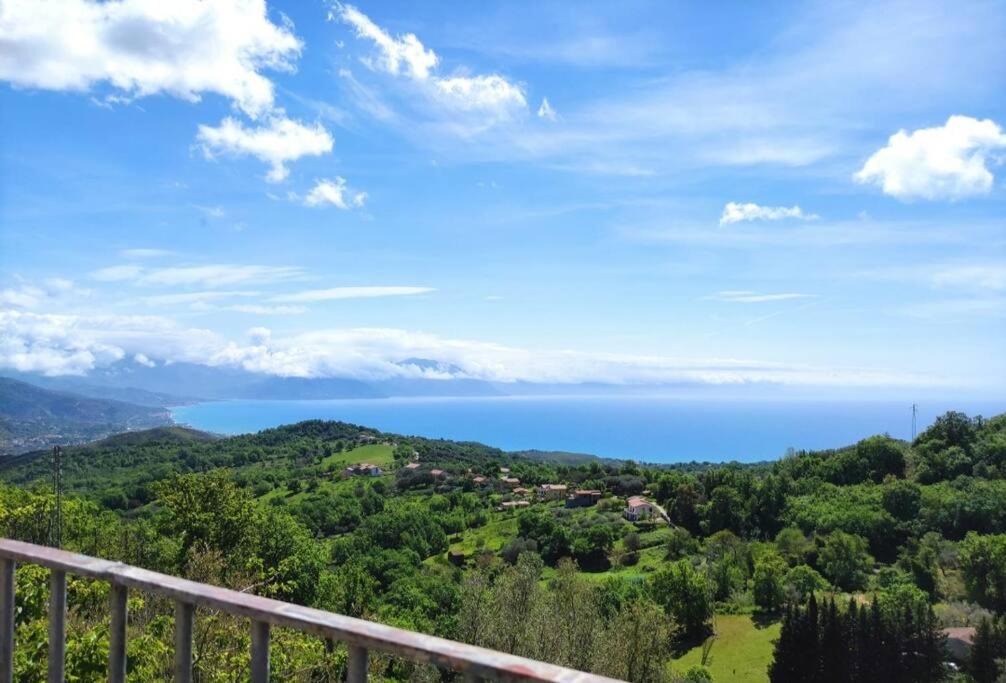 Bosco Apartment | Delizioso appartamento al centro di Bosco