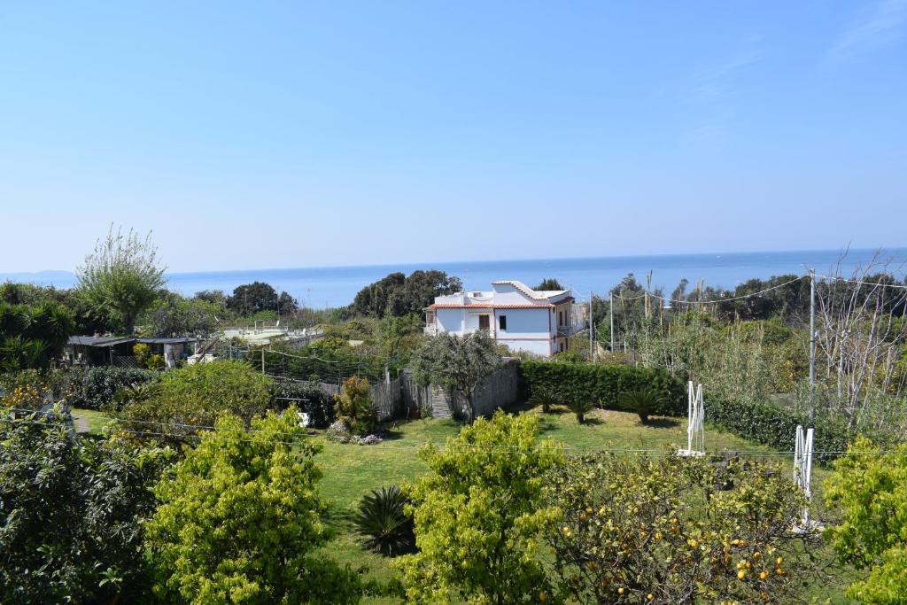 Procida Apartment | Depandance del Leone di mare