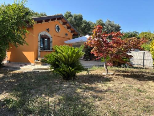 Martinsicuro House | Dependance con vista mare