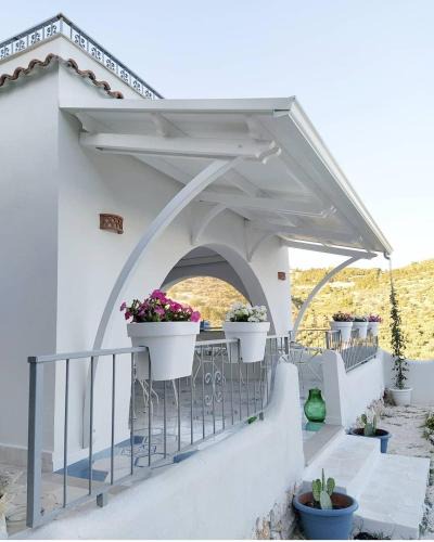 Mattinata Bed & Breakfast | Dimora Mediterranea