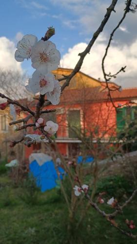 Ogliastro Cilento Bed & Breakfast | Domus amica 1