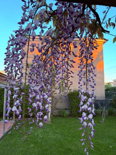 Senigallia Apartment | Domus Dafne Apartment