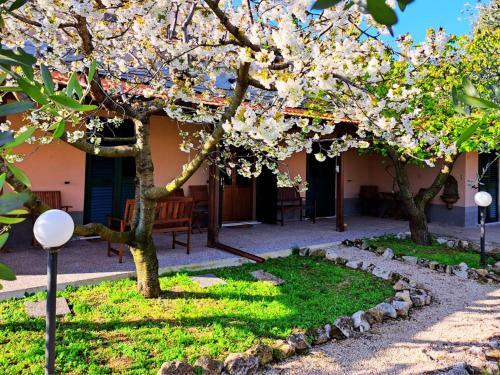 Moscufo Bed & Breakfast | Don Federico Country Inn