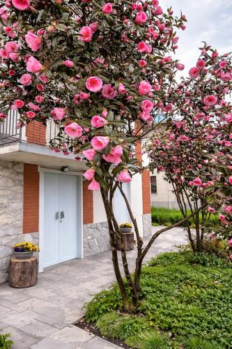 Novara Apartment | DooR48