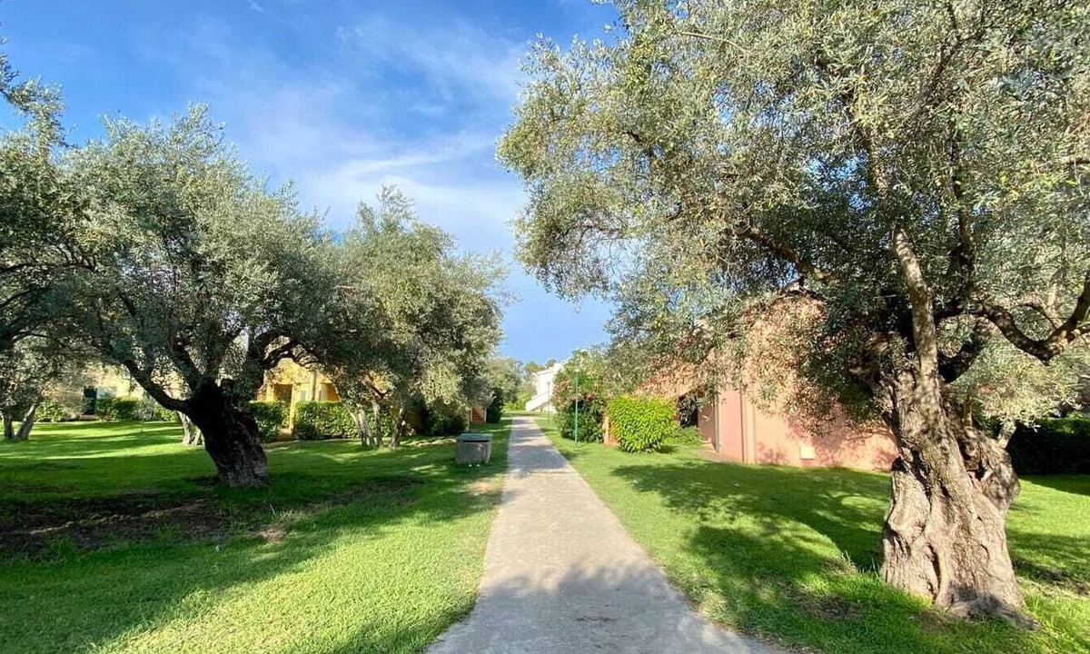 Contrada Taverna Apartment | Fantastic apartment among olive trees a few steps from the sea