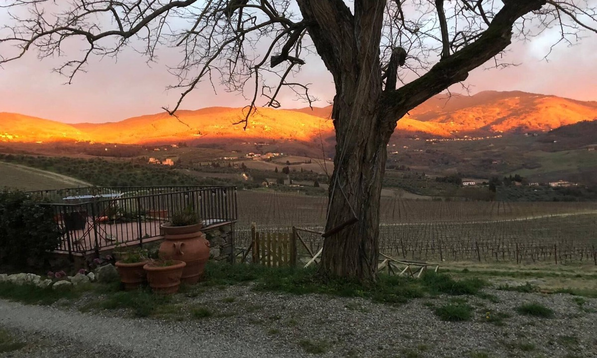 Twist House | FARM IL POGGIOLINO