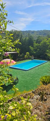 Casal Velino Apartment | Flory appartament con piscina