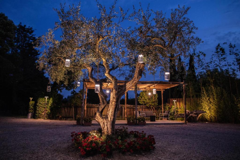 Paestum Bed & Breakfast | Fuori le Mura