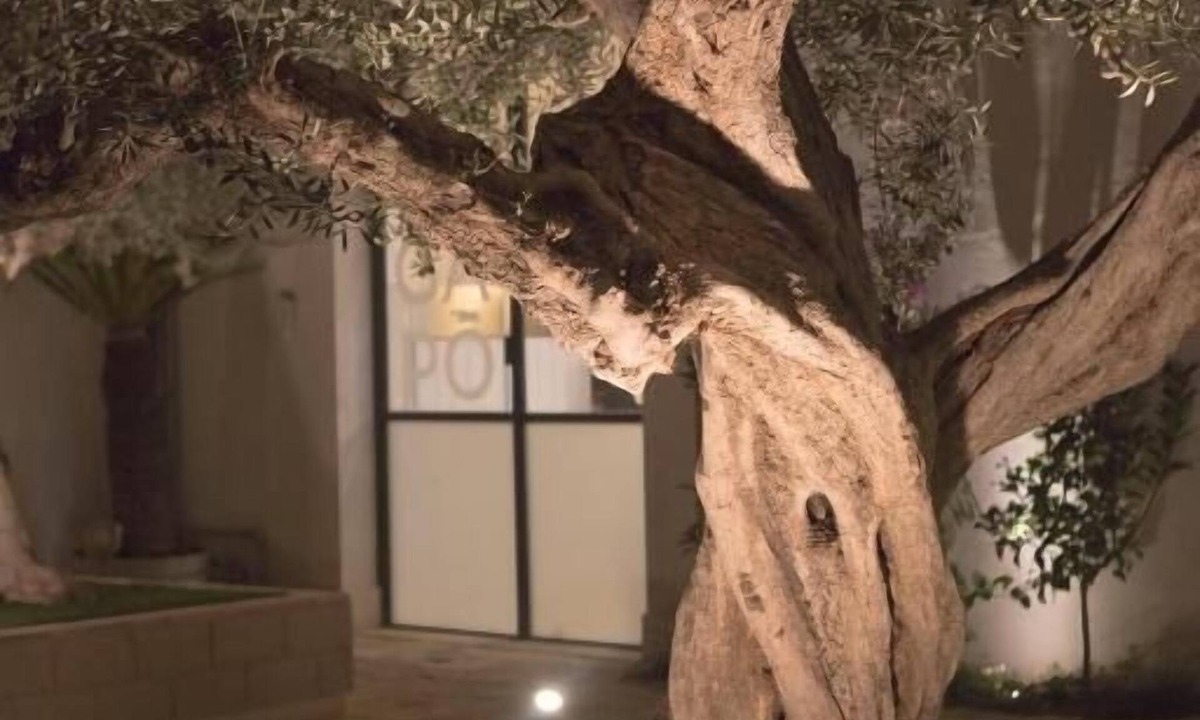 Orta Nova Bed & Breakfast | GA.PO' Room