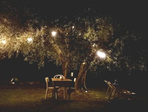 Montecarotto House | Giardino Antico