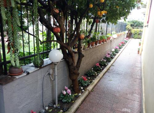 Pompei Bed & Breakfast | Green Garden
