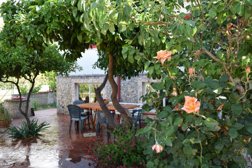 Guardia Piemontese Marina Apartment | Guardia Piemontese: Ideale per Mare e Terme
