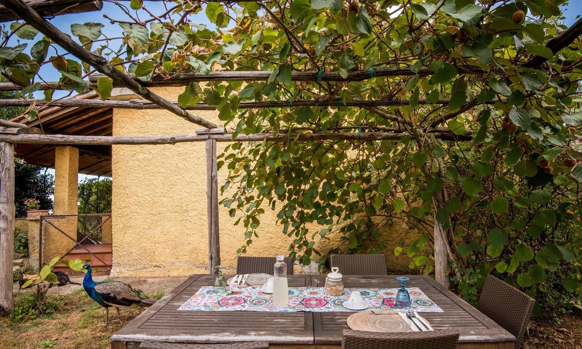 Montieri Apartment | Holiday Apartment 'Glicine' with Mountain View, Shared Pool & Wi-Fi