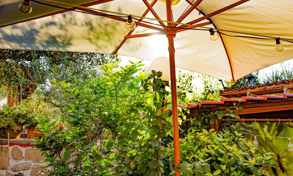 Cartoceto Bed & Breakfast | holiday home 10 km from Fano Liza Studio
