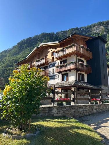 Pre-Saint-Didier Hotel | Hotel Edelweiss