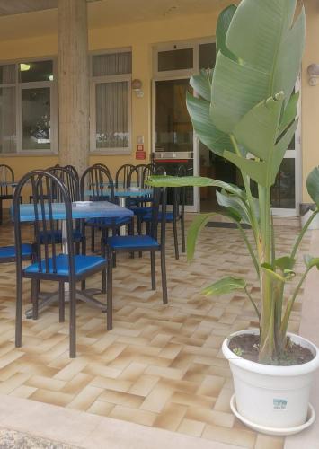 Giulianova Hotel | Hotel Holiday Garnì - Pet Friendly