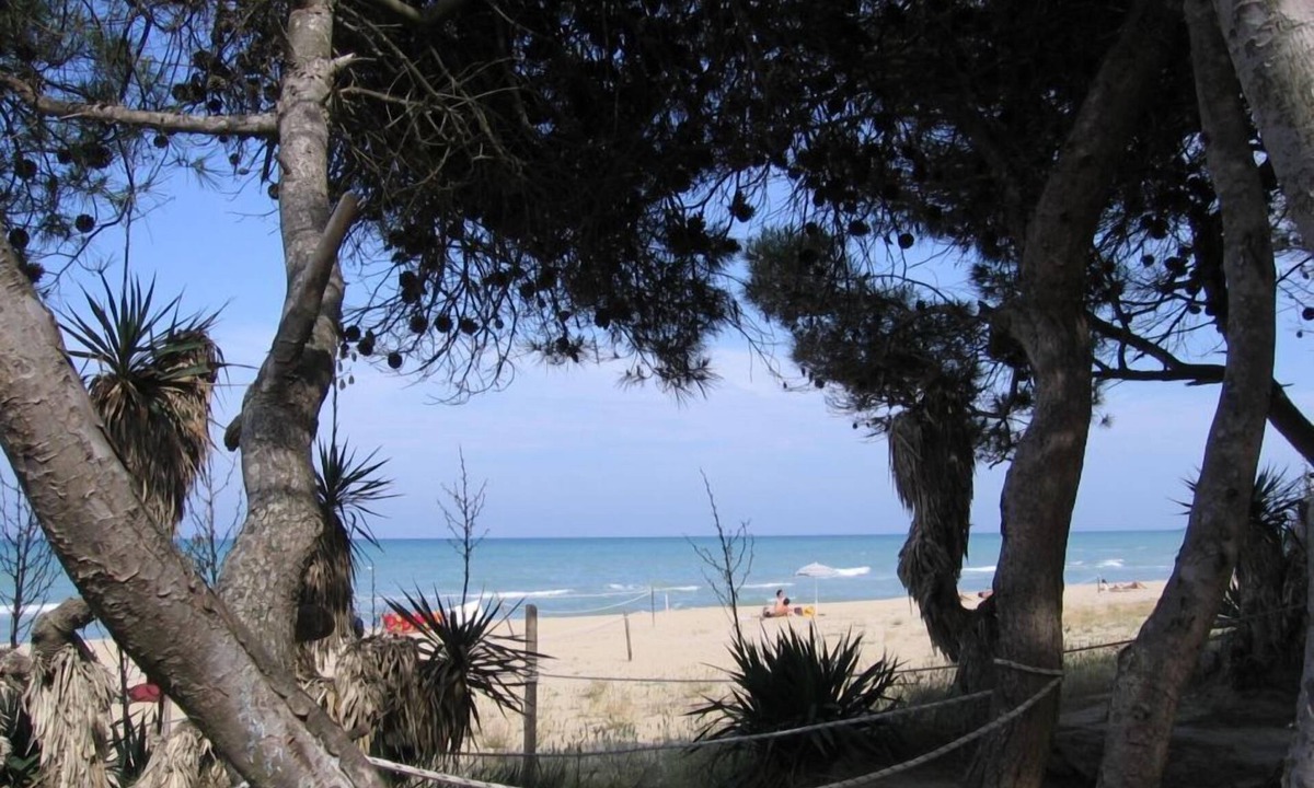 Pineto Hotel | Hotel Maria