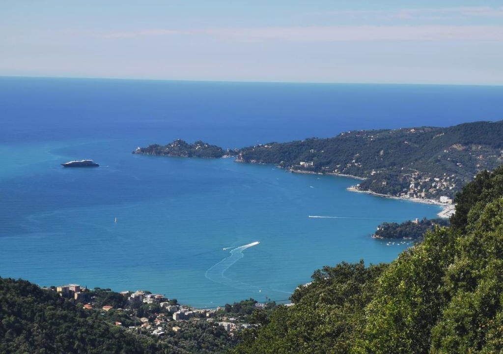 Rapallo Hotel | Hotel Montallegro