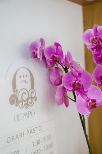 Porto d'Ascoli Hotel | Hotel Olimpo