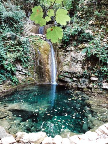 Cagli Hotel | Hotel Pineta