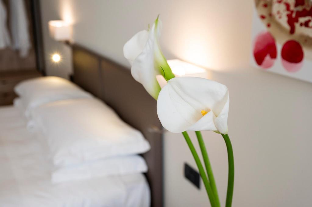 San Martino Siccomario Hotel | Hotel Plaza