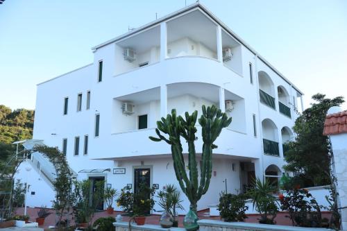 Vieste Hotel | Hotel Ponte
