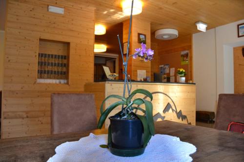 Morgex Hotel | Hotel Valdigne