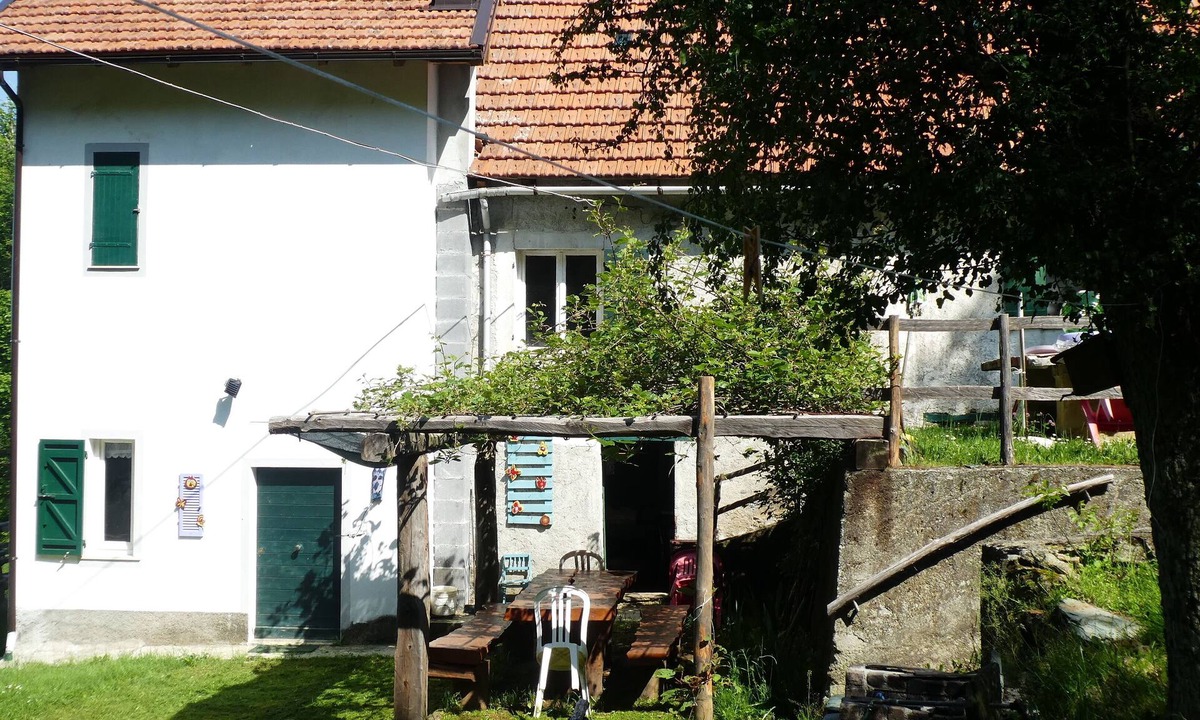 Urbe House | House in the Forest Purple (CITRA Code 009063-LT-0016)