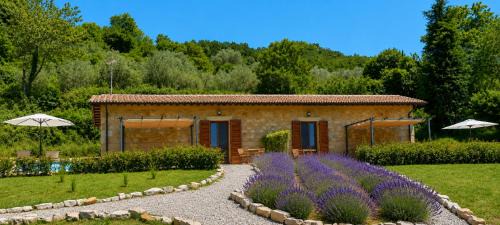 Santa Fiora Bed & Breakfast | i due cipressi - Bed & Breakfast
