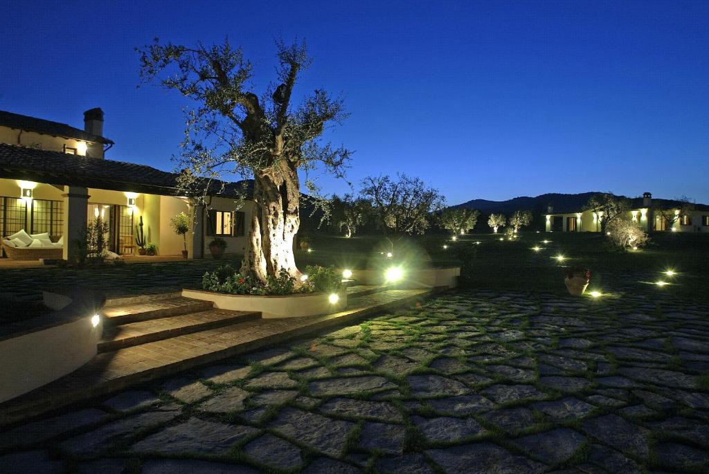 Capalbio House | Il casale degli olivi