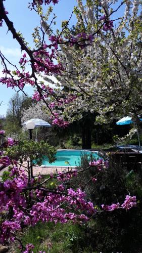 Mengara Apartment | Il Ciliegio del Pellegrino