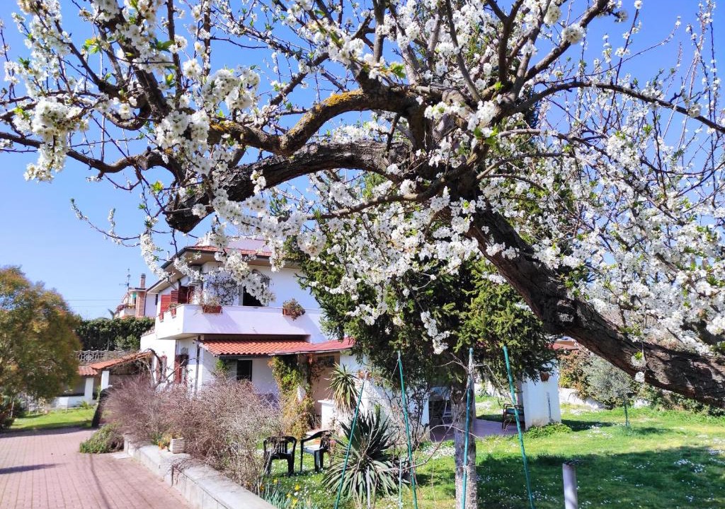 Palombara Sabina House | Il Ciliegio Holiday Apartment With Garden