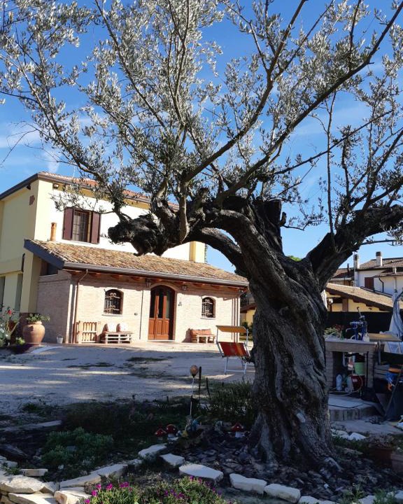 Casa Ottani Bed & Breakfast | Il Focolare B&B