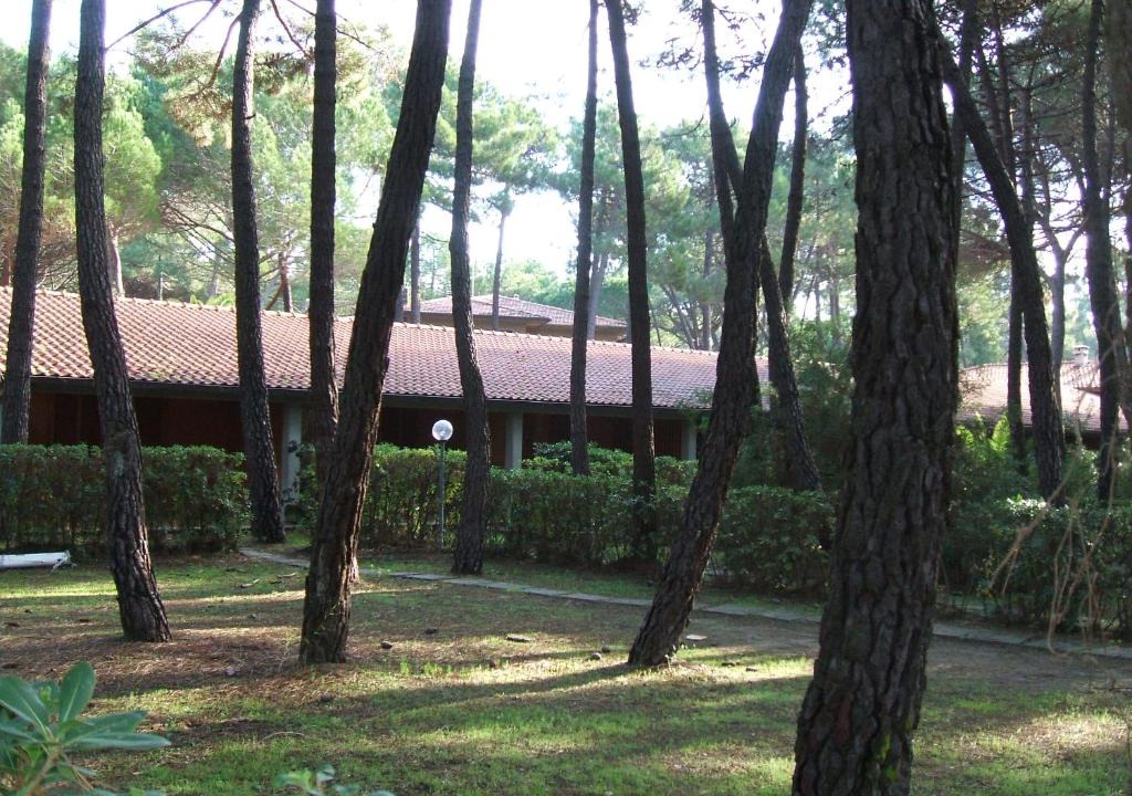 Principina a Mare Apartment | Il Gamberetto