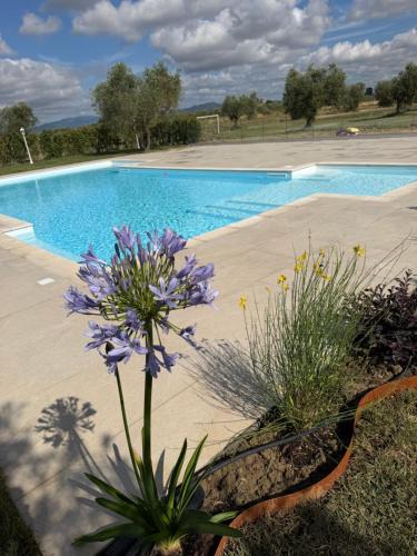 Grosseto House | Il giardino di nunzia