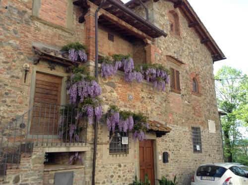Laterina House | Il Glicine