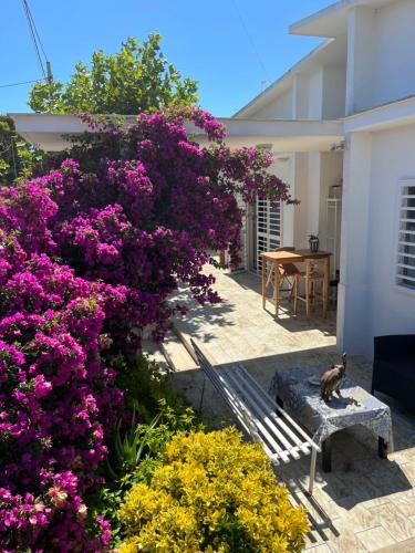Palese House | Il Platano di Nathaly