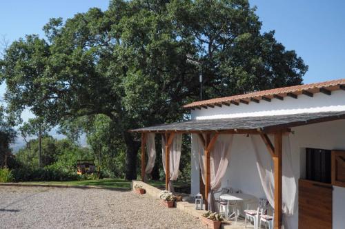 Scansano House | Il Poggetto di Barbara - Casa Bianca